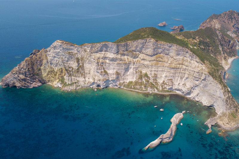 Palmarola